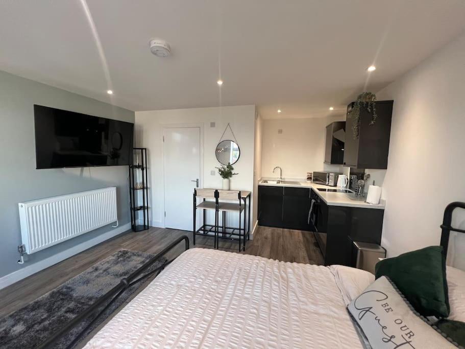 Abbotsbury 1 Bed Studio Opposite Uwe Free Parking Бристоль Екстер'єр фото