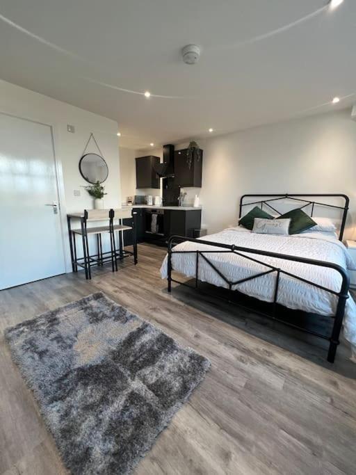 Abbotsbury 1 Bed Studio Opposite Uwe Free Parking Бристоль Екстер'єр фото